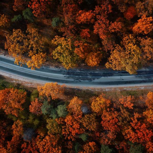 Sustainable Investing